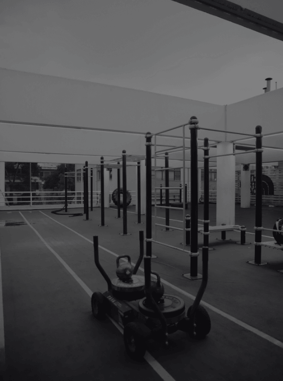 calisthenics sneakpeak